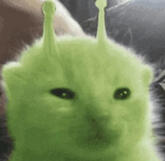 Glorp